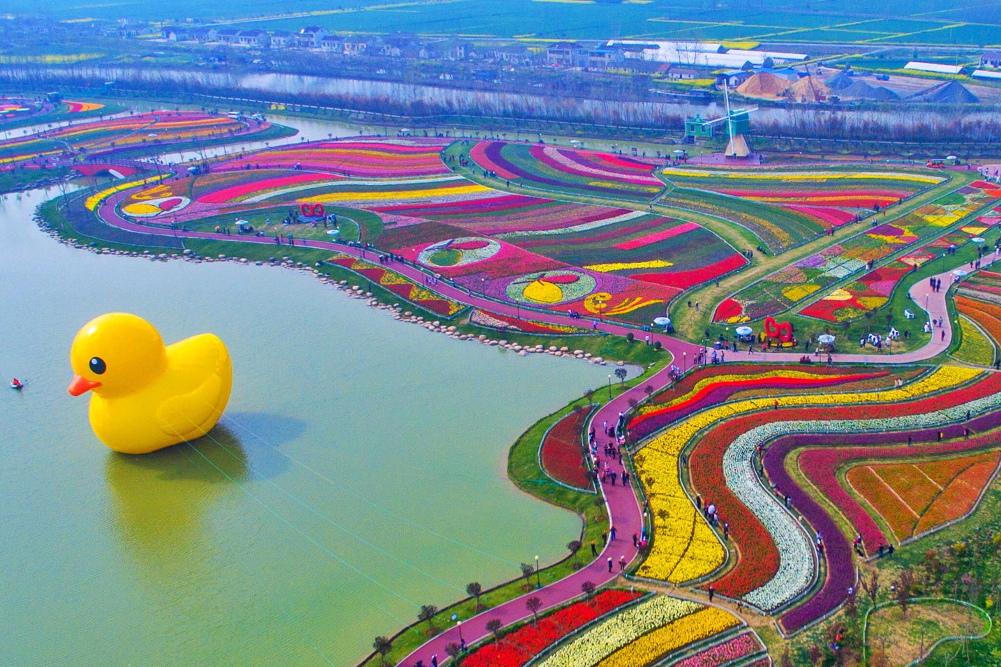 Dafeng Holland Flower Sea